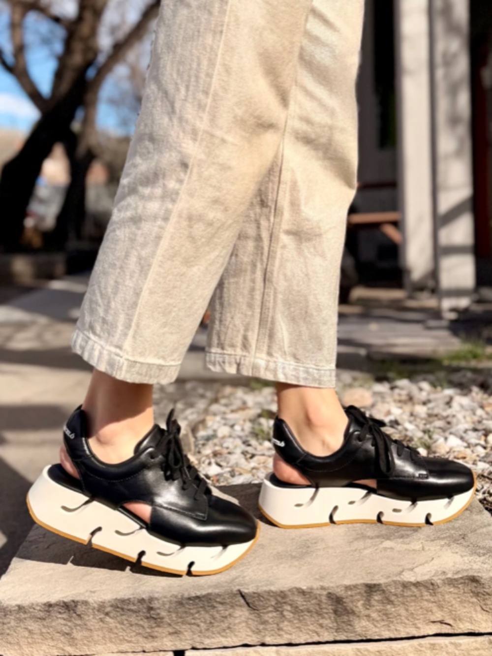 Paloma Barcelo Platform Sneaker Barbara #30-5701 in Black